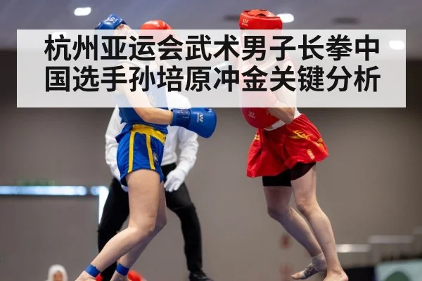wushu martial arts competition